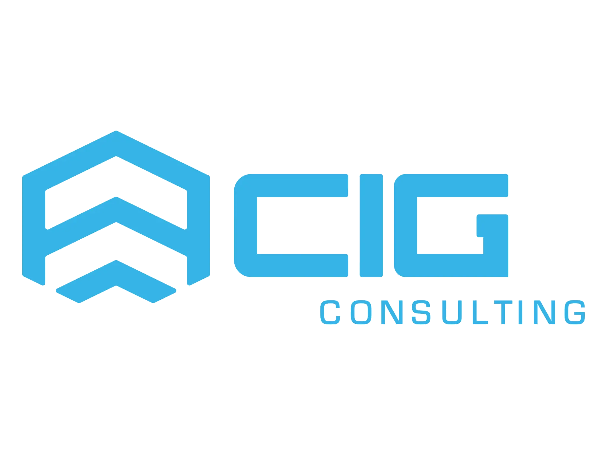 CIG Consulting